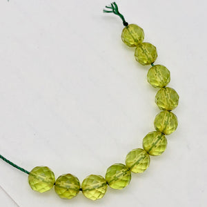 Amber Faceted Round Bead Strand | 6mm | Green | 68 Bead(s)