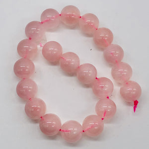 Rose Quartz 8" Strand Round | 10 mm | Pink | 20 Bead