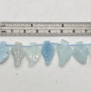 Natural Aquamarine Leaf Strand | 17x12x3 to 22x12x5mm | Blue | Leaf | 33 beads | - PremiumBead Alternate Image 6