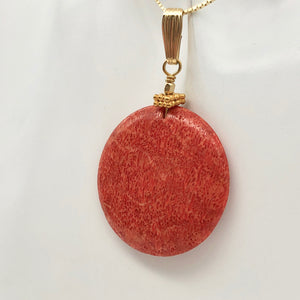 Big Cell Red Coral Disc & 14K Gold Filled Pendant | 30mm, 1.88" (long) |507287K - PremiumBead Alternate Image 3