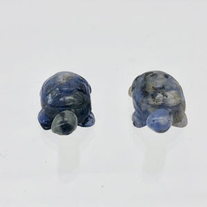 Adorable 2 Sodalite Carved Turtle Beads - PremiumBead Alternate Image 6