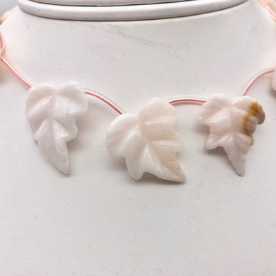 7 Light Pink Peruvian Opal Leaf Briolette Beads for Jewelry Making 10823C - PremiumBead Primary Image 1