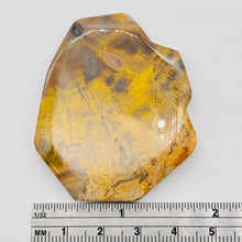 Load image into Gallery viewer, Fossilized Wood Irregular Flat Briolette | 52x43x7mm| Tan/Brown | 1 Pendant Bead

