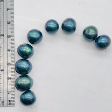 Load image into Gallery viewer, Fresh Water Pearls Round | 11-12 mm | Blue Peacock | 8 Bead
