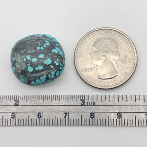 Genuine Natural Turquoise Nugget Focus or Master Bead | 28cts | 21x19x11mm - PremiumBead Alternate Image 5