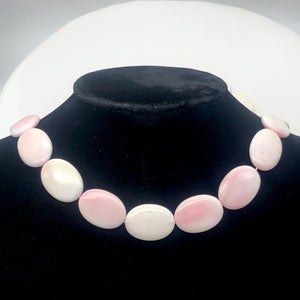 Conch Shell. Oval Half Strand | 25x18x6mm | Pink White | 8 Bead(s)