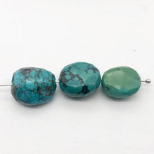 Load image into Gallery viewer, Three Natural Turquoise Beads | 16x13 to 15x12mm | Blue | Rounded | 3 beads | - PremiumBead Alternate Image 3
