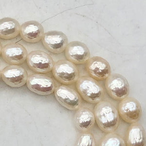 7 Stunning Faceted 8x6mm to 5x7mm Pearls 000650 - PremiumBead Primary Image 1
