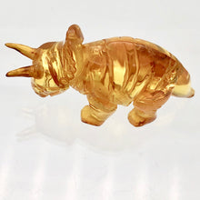Load image into Gallery viewer, Amber Triceratops | 47x24x14 | Amber | 1 Figurine
