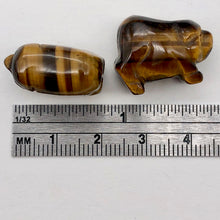 Load image into Gallery viewer, 2 Beads of Piggies Hand Carved Tigereye Pig Beads | 23x16x11mm | Golden Brown
