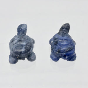 Adorable 2 Sodalite Carved Turtle Beads | 20x12.5x8mm | Blue white - PremiumBead Alternate Image 8