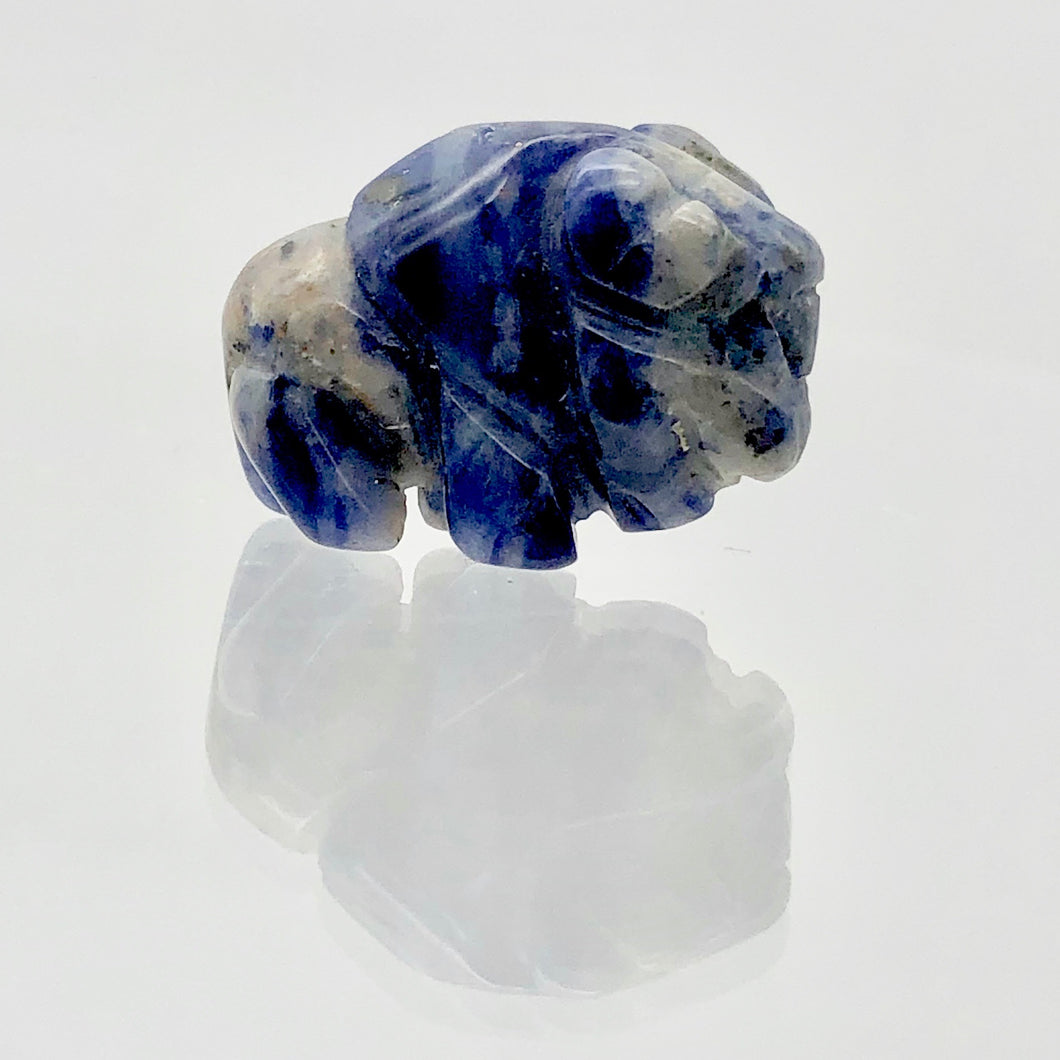 Charge! Sodalite Hand Carved Bison / Buffalo Figurine | 21x14x8mm | Blue White