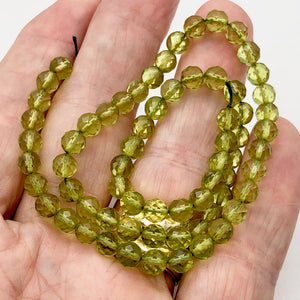 Amber Faceted Round Beads | 6mm | Green | 11 Bead(s)