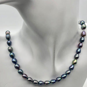 Lavender, Blue, Pink Peacock Satin 16" FW Pearl Strand, 10x6.5 to 8x6mm - PremiumBead Primary Image 1