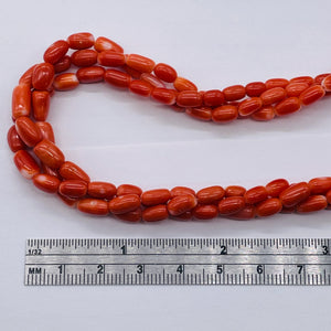 Coral Oval Graduated Bead Necklace | 20" Long | 3x6 to 5x8mm | Red | Necklace |
