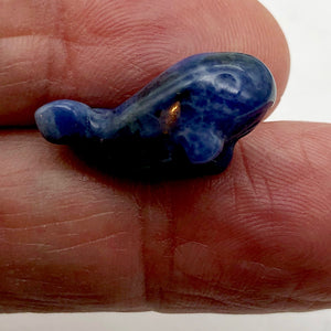 Carved Animal Sodalite Whale Figurine Worry Stone | 20x13x11mm | Blue white - PremiumBead Primary Image 1