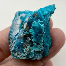 Load image into Gallery viewer, Chrysocolla Natural Crystal Display Specimen | 49x39x18mm |
