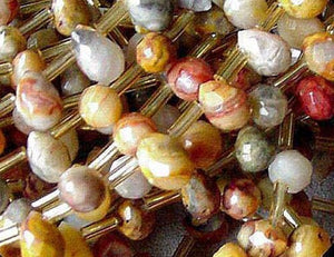 12 Crazy Lace Agate Briolette Beads 004606 - PremiumBead Alternate Image 2