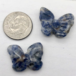 Flutter 2 Carved Sodalite Butterfly Beads | 18x21x5mm | Blue white - PremiumBead Alternate Image 10