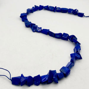 Stunning! Natural Gem Quality Lapis Lazuli Bead Strand!| 42 beads | 11x10x6mm | - PremiumBead Alternate Image 6