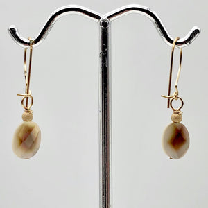 Faceted Tahitian MoP Shell 14K Gold Filled Earrings with Gold Bead |1 Inch Drop|