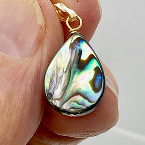 Abalone 14K Gold Filled Drop Pendant | 1" Long | Blue |
