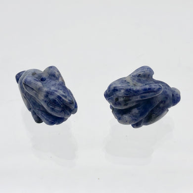 Hoppity 2 Hand Carved Sodalite Bunny Rabbit Beads | 21.5x12x9mm | Blue w/White - PremiumBead Primary Image 1