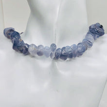 Load image into Gallery viewer, Oregon Holly Blue Chalcedony Agate 89 Grams Nugget Strand| 12x6 16x10 | 53 Bead|
