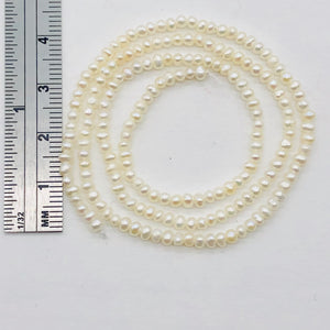 Tiny Seed Pearls Strand Round | 2 mm | White | 180 Bead