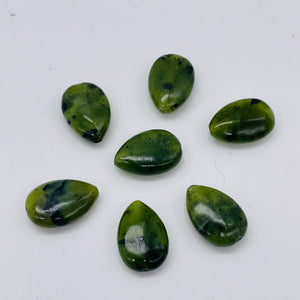 7 Beads of Premium Briolette Nephrite Jade Beads 10264P