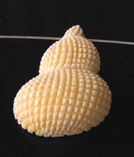 Load image into Gallery viewer, Conch Seashell Carved Waterbuffalo Bone Pendant Bead 10310A - PremiumBead Alternate Image 3
