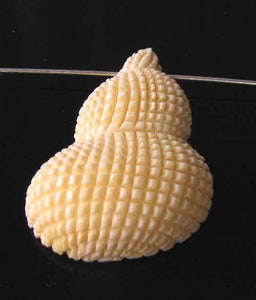 Conch Seashell Carved Waterbuffalo Bone Pendant Bead 10310A - PremiumBead Alternate Image 3