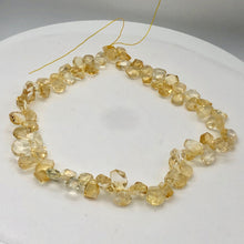 Load image into Gallery viewer, Citrine Faceted Briolette Bead Strand | 10x7 to 13x12x5mm | Golden | 57g |
