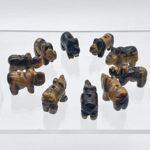 2 Tiger Eye Hand Carved Rhinoceros Beads, 21x13x10mm, Golden 009275TE | 21x13x10mm | Golden - PremiumBead Alternate Image 10