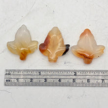 Load image into Gallery viewer, Chalcedony Mandarin Leaf Beads| 26x21x5mm to 27x23x5mm | Orange | Leaf | 3 bds | - PremiumBead Alternate Image 6
