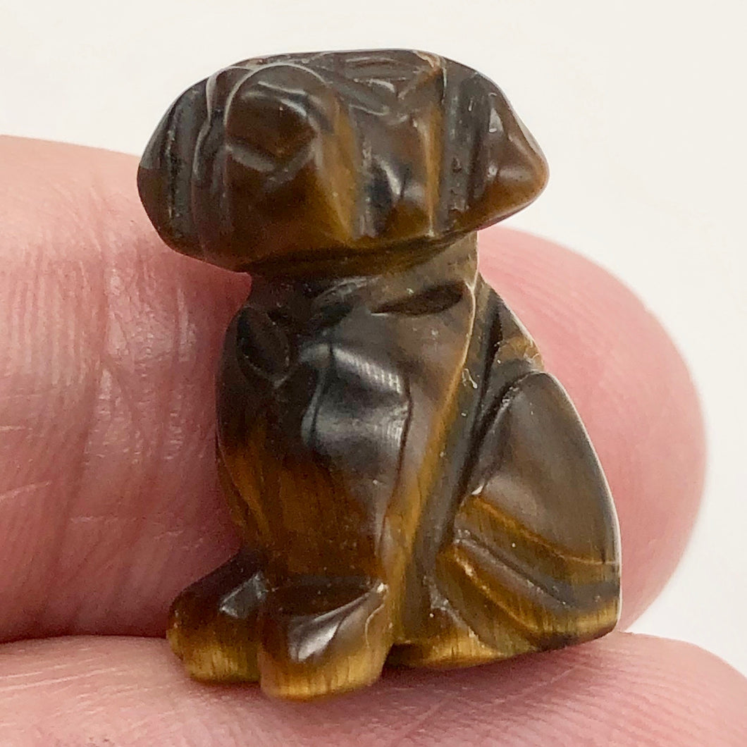 Faithful Puppy! Tiger Eye Hand Carved Dog Figurine | 22x15x15mm | Golden Brown