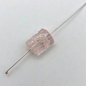 10.7cts Morganite Pink Beryl Hexagon Cylinder Bead | 13x9mm | 1 Bead | 3863J - PremiumBead Alternate Image 4
