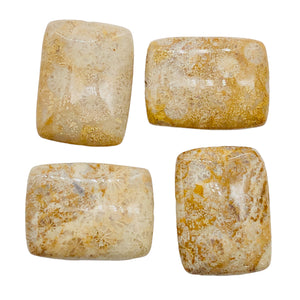 Coral Fossilized Strand Rectangular | 20x15x6 mm | Brown/White | 20 Beads |