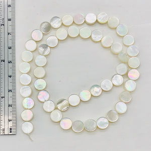 Hot Natural Mother of Pearl Shell Bead Strand | 8x2 mm | 51 Pearls |