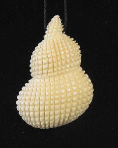 Conch Seashell Carved Waterbuffalo Bone Pendant Bead 10310A - PremiumBead Primary Image 1