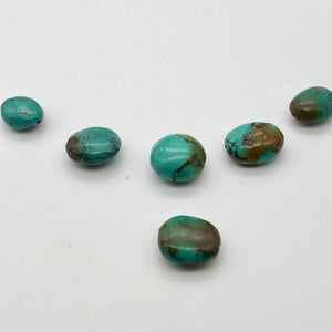 Amazing! 6 Genuine Natural Turquoise Nugget Beads 135cts 010607V - PremiumBead Primary Image 1