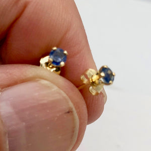 Blue Sapphire 14K Gold Earrings | 3mm | Blue | Stud | - PremiumBead Alternate Image 2
