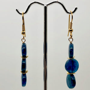Dazzle Blue Apatite 10mm Coin14K Gold Filled Earrings | 2 Inch Drop |