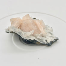 Load image into Gallery viewer, Pink Stilbite Crystals on bed of Apophyllite Collecter&#39;s Specimen | 55x48x22mm - PremiumBead Alternate Image 7
