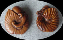Load image into Gallery viewer, 1 intricate Nautilus &amp; Octopus Boxwood Ojime/Netsuke Bead - PremiumBead Alternate Image 3
