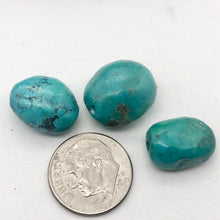 Load image into Gallery viewer, Three Natural Turquoise Beads | 16x13 to 15x12mm | Blue | Rounded | 3 beads | - PremiumBead Alternate Image 4
