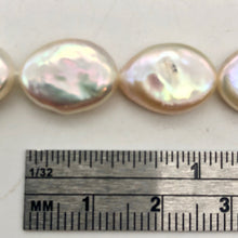 Load image into Gallery viewer, Oval/Teardrop 2 Creamy Freshwater Coin Pearls 4456 - PremiumBead Primary Image 1
