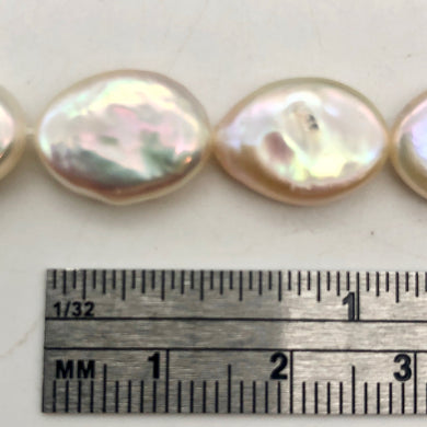 Oval/Teardrop 2 Creamy Freshwater Coin Pearls 4456 - PremiumBead Primary Image 1