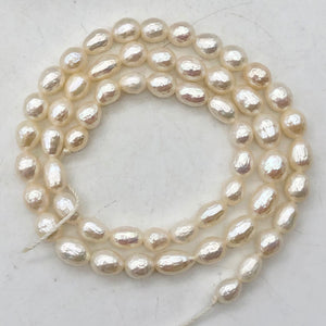 7 Stunning Faceted 8x6mm to 5x7mm Pearls 000650 - PremiumBead Alternate Image 5