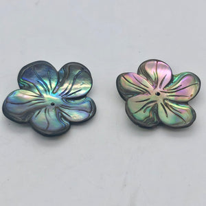 Abalone Flower/Plumeria Pendant Bead 16" Strand | 14 Beads | 28x27x3mm | 110609 - PremiumBead Alternate Image 3